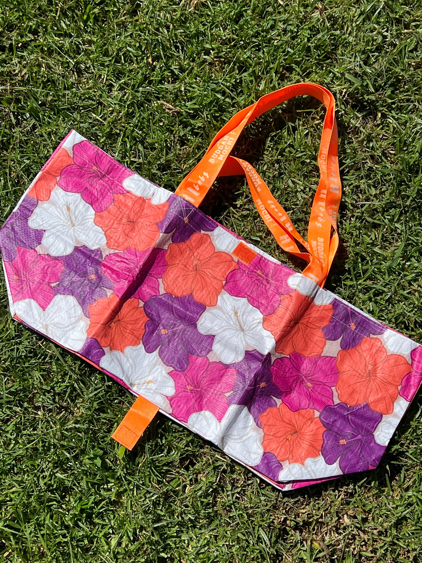 HIBISCUS BEBEH BUCHA | HI BEBZ XX BUDDAH MOCHI KIDS CO